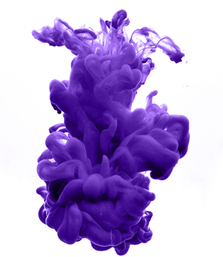 Team Member Image